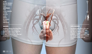 Illustration for article titled Watch a Penis Shrink and Fade in Finland's Anti-Smoking Campaign